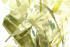 2013_11Banana-Tree-Variations