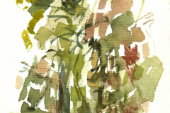 2013_13_Banana-Tree-Variations