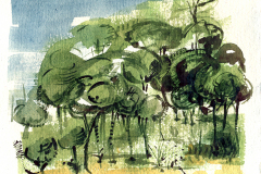Mauricio Piza, Mata, Bush, watercolor, 201