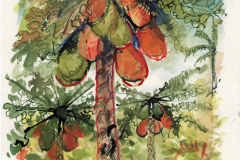 Mauricio Piza, Mamoeiros, Papaya Trees, 23 x 15 cm, watercolor and ink, 2020