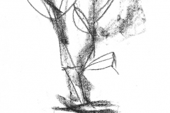 Mauricio Piza. Orquídea, Orchid, 30 x 20 cm, 2012