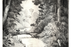 Mauricio Piza, O Tronco Caído, The Fallen Log, etching, 20 x 30 cm, 1990