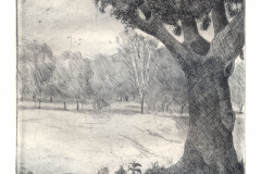 Mauricio Piza, A Arvore, The Tree, etching, 20 x 30 cm, 1990