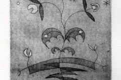 Mauricio Piza, Flor Noturna, Night Flower, 25 x 15, etching, 1992