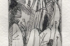Mauricio Piza, Quintal, Backyard, etching, 20 x 20 cm, 2017.